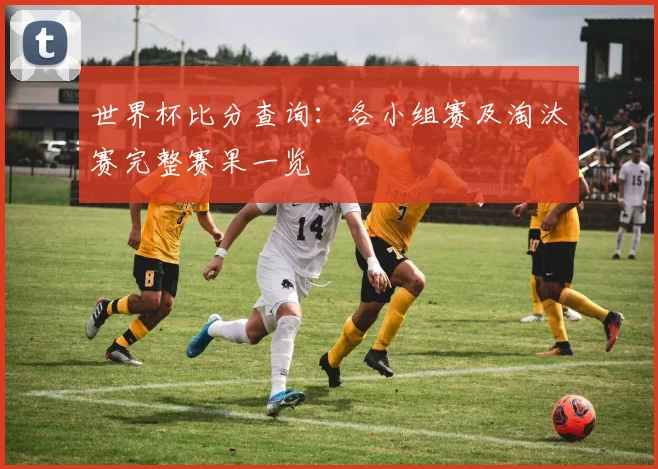 世界杯比分查询：各小组赛及淘汰赛完整赛果一览